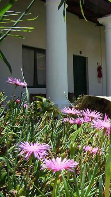 Lo De Penalba Bed & Breakfast Кафаяте Екстериор снимка